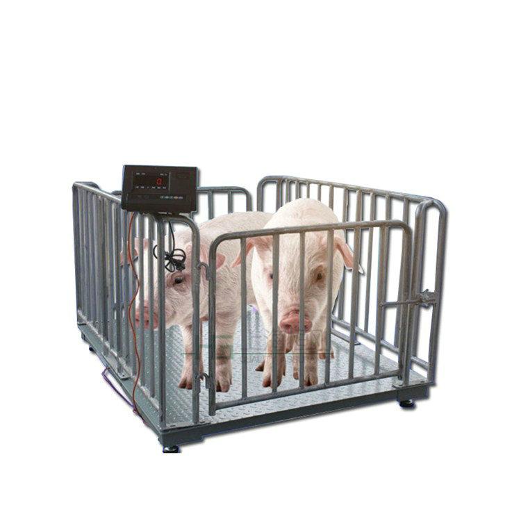 <b>畜牧業(yè)稱(chēng)豬稱(chēng)牛地磅秤,帶圍欄打印牲畜秤</b>